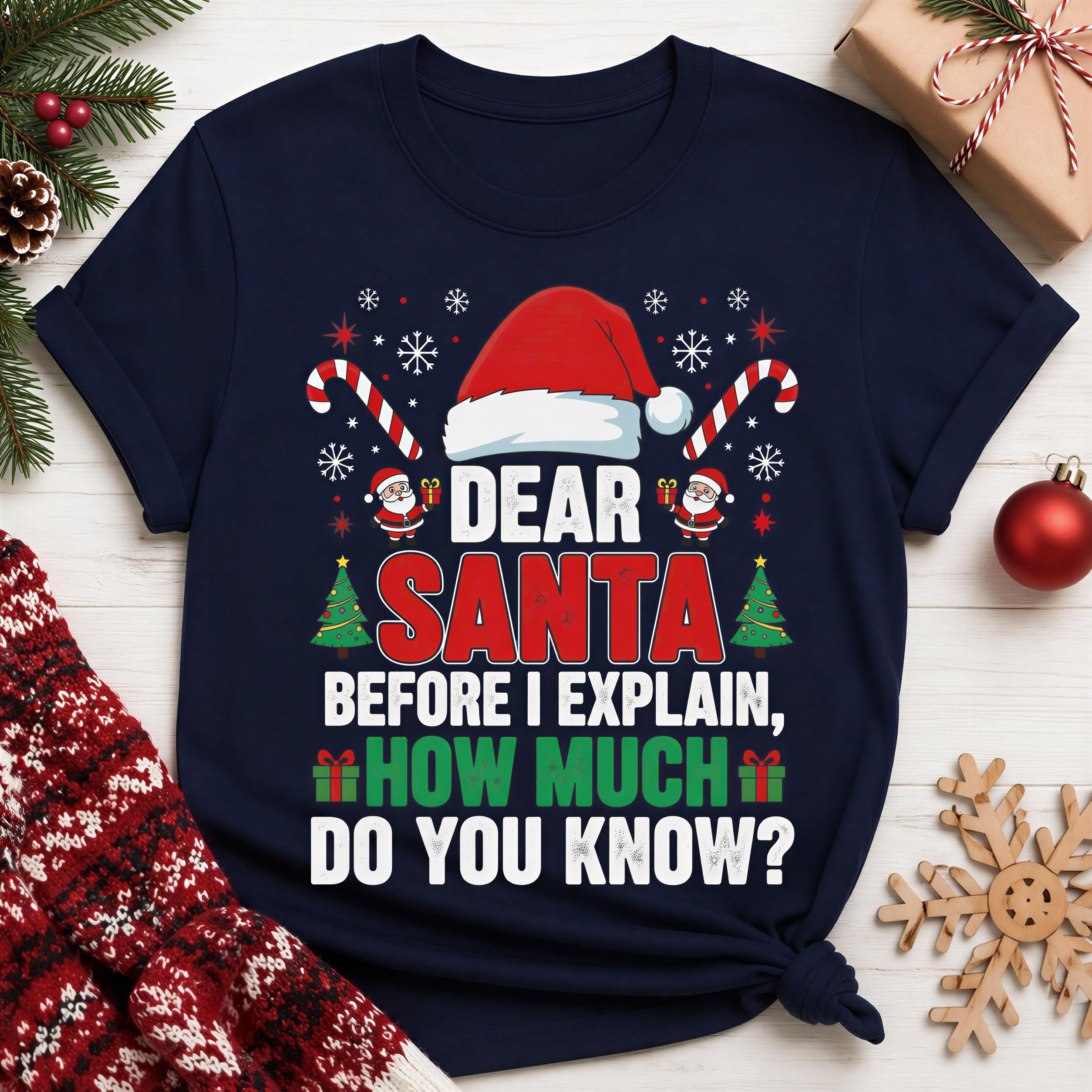 a navy blue t-shirt with a humorous Christmas-themed design, including a Santa hat, candy canes, and a snowflake. The text on the t-shirt reads "DEAR SANDRA BEFORE I EXPLAIN, HOW MUCH DO YOU KNOW?"