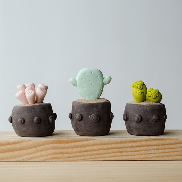 Miniature figurines plants set of 3 - gift for gardeners - home decor
