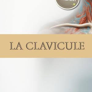 Puede incluir: Ilustración anatómica que presenta la clavícula, con el texto "LA CLAVICULE" en una pancarta beige. Una insignia circular con "PRIX LANCEMENT" está en la esquina superior derecha. La imagen muestra los músculos del cuello y del hombro.