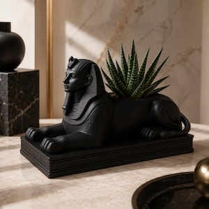 May include: A black sphinx planter with a succulent plant. The planter is a detailed replica of an Egyptian sphinx, with a regal headdress and a reclining pose. The succulent has green and white striped leaves.