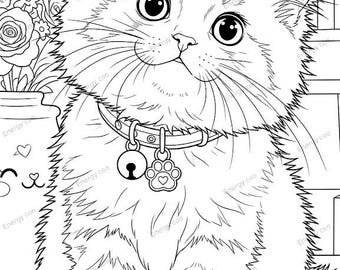 Dibujo para colorear de gatito esponjoso – Dibujo lineal imprimible para niños (JPG) – 5 diseños