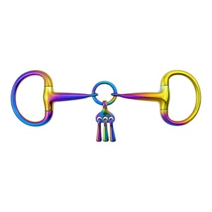 Op de afbeelding: Een regenboogkleurig paardenbit met een ring in het midden en een decoratief element. Het bit heeft aan elke kant een D-vormige ring en een rechte staaf die verbonden is met de middelste ring.