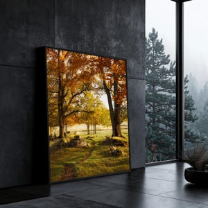 Könnte beinhalten: Ein rechteckiges gerahmtes Wandbild mit einer Landschaftsaufnahme eines Waldes im Herbst. Die Szene zeigt hohe Bäume mit leuchtend orangefarbenem und gelbem Laub, eine grasbewachsene Wiese und einen schmalen Feldweg, der in die Ferne führt.