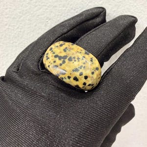 May include: A polished, oval-shaped ring featuring a smooth, cream-coloured surface densely covered with small, irregular black spots. The stone has a glossy finish and is set in a band that encircles the finger, showcasing a distinct dalmatian-like pattern.