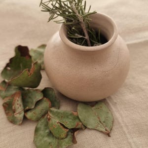 May include: A small, beige ceramic vase holds fresh rosemary sprigs. Green and brown-edged leaves are scattered around the vase on a neutral-toned fabric. The vase has a rounded shape and a small opening.