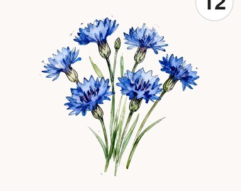 12 Watercolor Blue Cornflower Bouquets PNG Clipart | Printable Digital Download for Cards and Scrapbooking