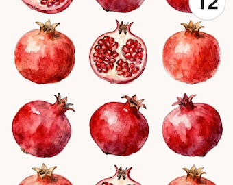 12 Watercolor Pomegranate Clipart Set | Fruit Printable Pngs | High Resolution Digital Download