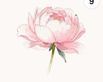 9 Watercolor Peonies PNG Clipart | Printable Digital Download for Scrapbooking and Card Making
