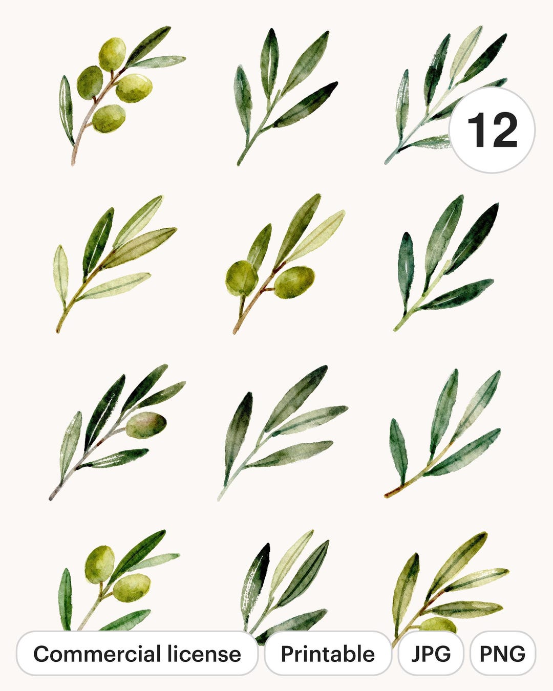 12 Olive Branch Clipart Set | Watercolor Floral PNG & JPG | Printable ...