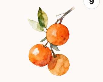 9 Watercolor Orange Branch PNG Clipart | Printable Digital Download for Scrapbooking and Card Making