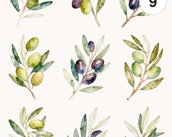 Watercolor Olive Branch Clipart Set | Floral Graphics Bundle (Digital Download)