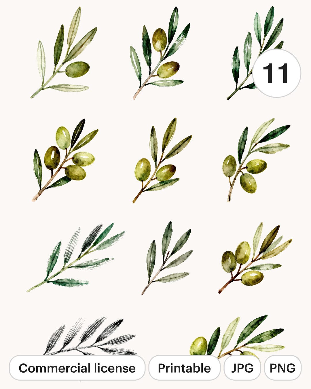 Watercolor Olive Branches Clipart Set | Floral Botanical Graphics ...