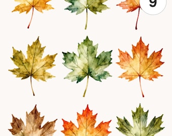 9 Watercolor Maple Leaves Clipart Bundle | PNG & JPG | Printable Commercial Use