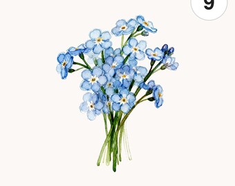 Watercolor Forget Me Not Bouquets Clipart | Blue Floral PNG (Digital Download)