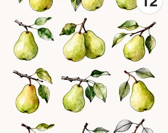 12 Watercolor Pear Branch Clipart Set | PNG & JPG | Printable Commercial Use Fruit Graphics