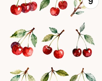 9 Watercolor Cherry Branch Clipart Set | Fruit Clipart Bundle | PNG & JPG | Printable Commercial Use