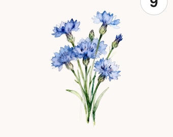 9 Watercolor Blue Cornflower Bouquets PNG Clipart | Printable Digital Download for Scrapbooking and Cards
