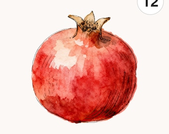 12 Watercolor Pomegranate PNG Clipart | Printable Digital Download for Scrapbooking and Cards