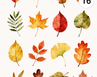 16 Autumn Leaves Orange Brown Red Watercolor Clipart Set | PNG & JPG | Printable Commercial Use