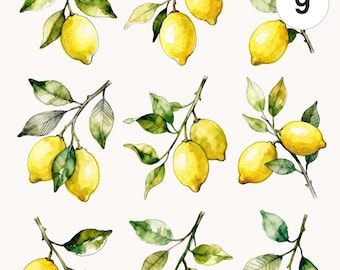 9 Watercolor Lemon Branch Clipart Set | Fruit Clipart Bundle | PNG & JPG | Printable Commercial Use