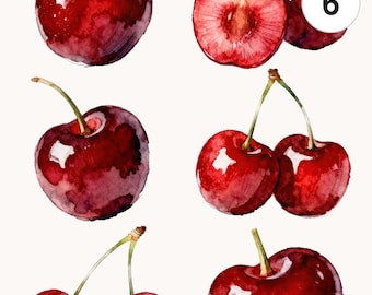 6 Watercolor Cherry Clipart Set | Fruit Watercolor PNG & JPG | Printable Commercial Use