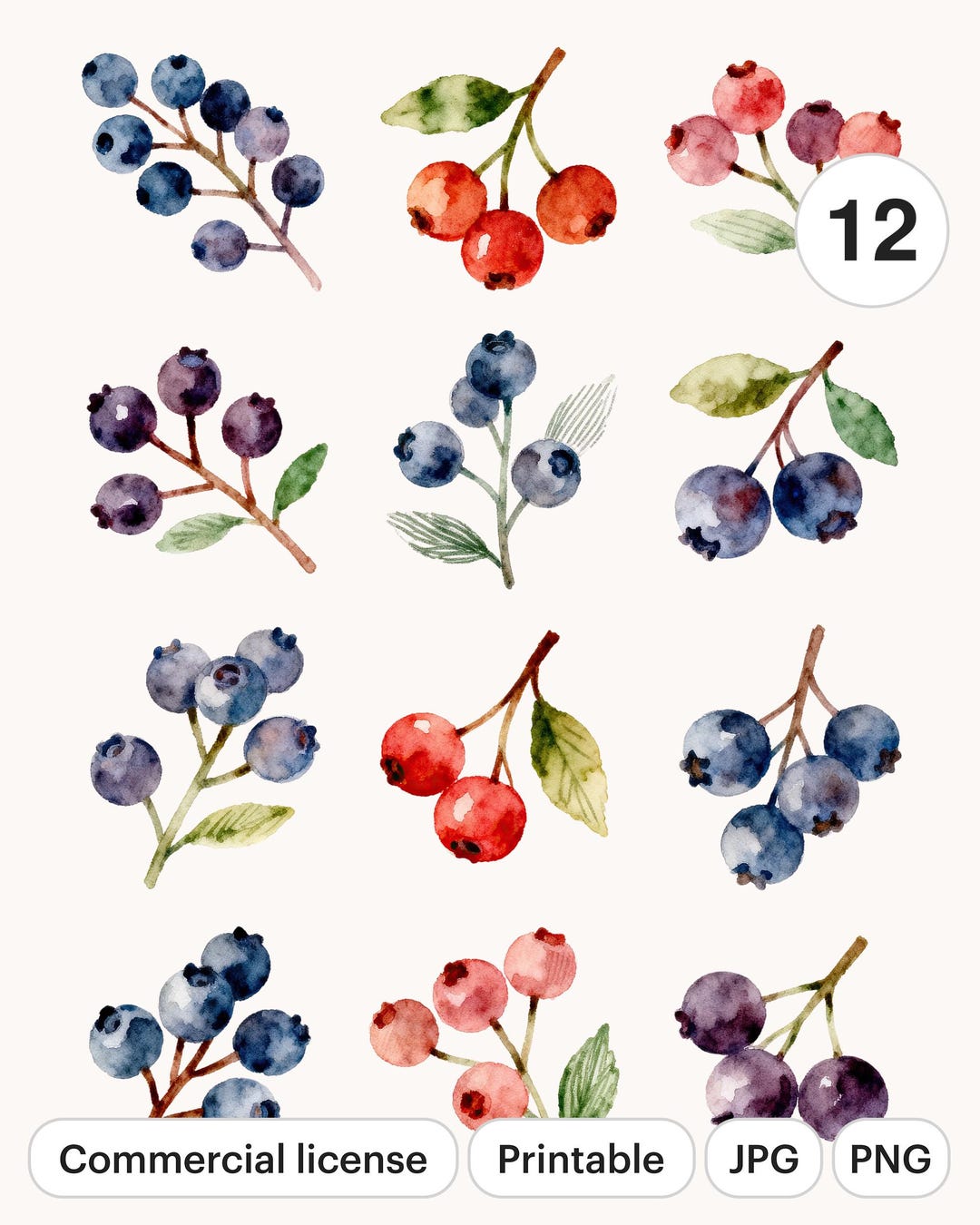 12 Watercolor Berry Branch Clipart Set | Botanical PNG & JPG ...