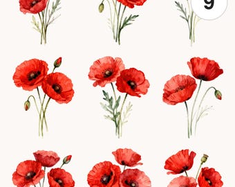 9 Watercolor Poppy Bouquets Clipart Set | Floral PNG & JPG | Printable Commercial Use
