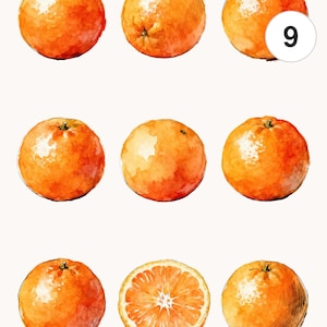 Puede incluir: Ilustración en acuarela de naranjas. La imagen presenta nueve naranjas, una de ellas cortada por la mitad para mostrar el interior jugoso. Las naranjas son de un color naranja vibrante. También incluye el texto "Commercial license", "Printable", "JPG" y "PNG".