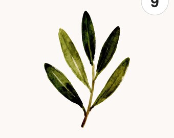 Watercolor Olive Branch Clipart | 9 PNG/JPG Leaves (Digital Download)