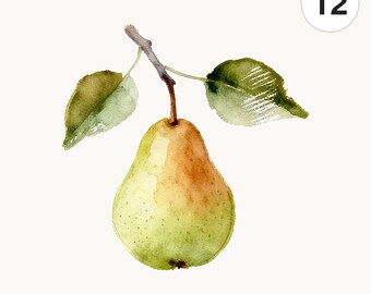12 Watercolor Pear Branch PNG Clipart | Printable Digital Download for Scrapbooking and Cards
