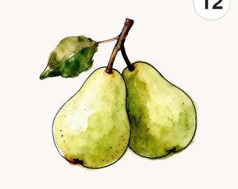 12 Watercolor Pear Branch PNG Clipart | Printable Digital Download for Scrapbooking and Card Making
