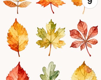 9 Autumn Leaves Clipart Set | Watercolor PNG & JPG | Printable Commercial Use Floral Bundle