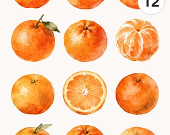 12 Watercolor Orange Cliparts Clipart Set | Fruit PNG Bundle | High Resolution Printable Commercial Use