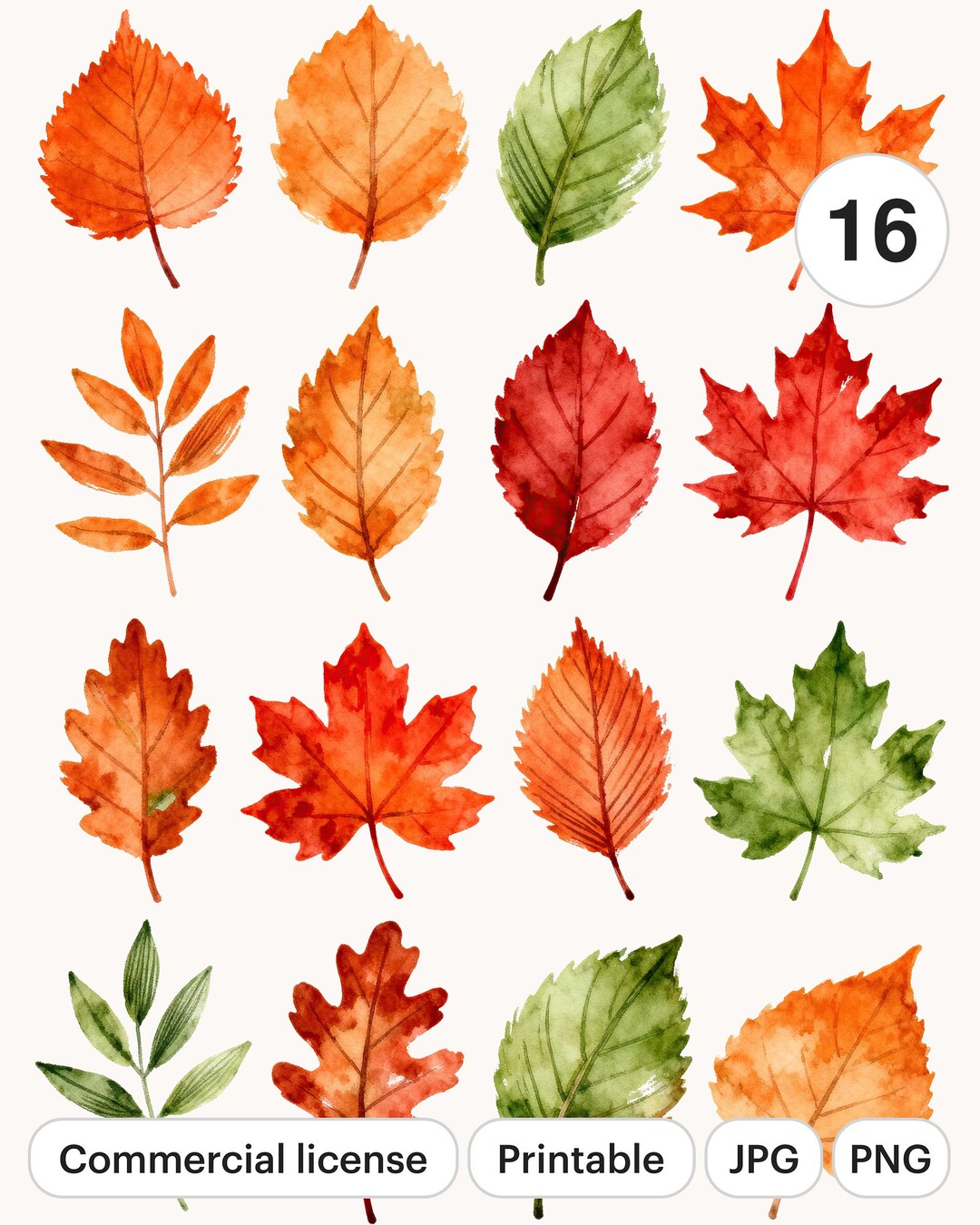 Watercolor Autumn Leaves Clipart Set | Red Orange Fall Foliage (digital ...