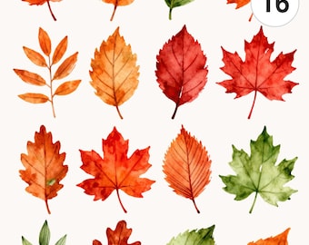 Watercolor Autumn Leaves Clipart Set | Red Orange Fall Foliage (Digital Download)
