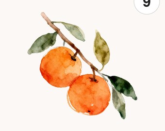 9 Watercolor Orange Branch PNG Clipart | Printable Digital Download for Cards and Scrapbooking