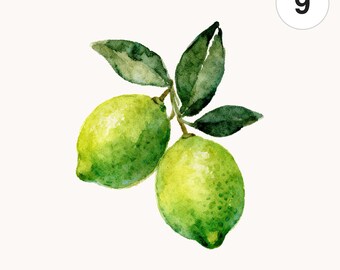 9 Watercolor Lime Branch PNG Clipart | Printable Digital Download for Scrapbooking and Card Making