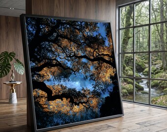 Enchanted Night Trees, Moonlit Forest Canvas, Nature Silhouette Wall Art, Mystical Nightscape Decoration, Scenic Woodland Print