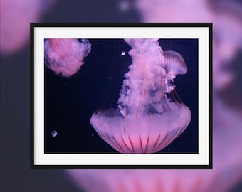 Between filaments -- Pink jellyfish in the water [Paris, France]