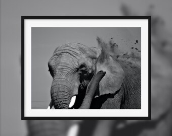 A funny way -- Elephant throwing dirt [Beauval, France]