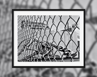 Jurassic Island -- Graffiti of an animal skeleton behind a fence [New-York, United States]