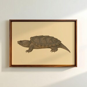 Peut inclure: Une impression d'art encadrée représentant une illustration détaillée à l'encre noire d'une tortue serpentine sur un fond beige clair uni. La tortue est représentée de profil, montrant sa carapace texturée et striée ainsi que ses griffes acérées.
