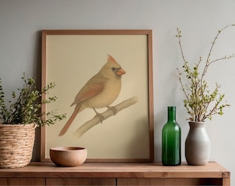 Female Northern Cardinal Print | Vintage Naturalist Bird Illustration | Printable Wall Art | Cottagecore Nature Decor