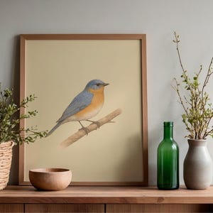 May include: A framed print of a bluebird perched on a branch. The bird has blue, orange, and gray feathers. The artwork is displayed on a wooden surface with a woven basket, a wooden bowl, a green bottle, and a vase.