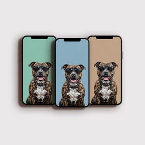 May include: Three smartphone cases featuring a dog wearing sunglasses. The dog has brown and white fur and a black collar. The backgrounds are light green, blue, and tan.