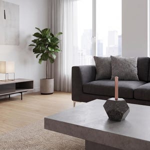 May include: Modern living room with a gray sofa, concrete coffee table, and a potted plant. A geometric sculpture with a copper accent sits on the table. A white lamp and abstract art complete the contemporary design.
