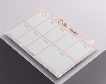 Bloc de notas semanal Daisy / Organizador de cartas femenino de EE. UU.