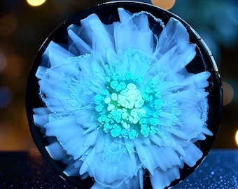 3D Bloom Petri Dish Flower Coaster/Paper Weight/Wall Art - Pastel Blue/Yellow