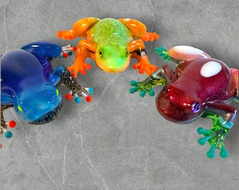 Crazy-Looking Frogs, Zero Chill - Just Vibes and Vibrance