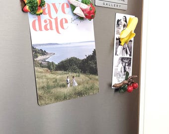 Farm Fresh Exotic Fruit Fridge Magnet Set – 12 Piece Tropical Magnets, Durian -King of Fruits, Vintage Kitchen Decor, Dragon fruit,